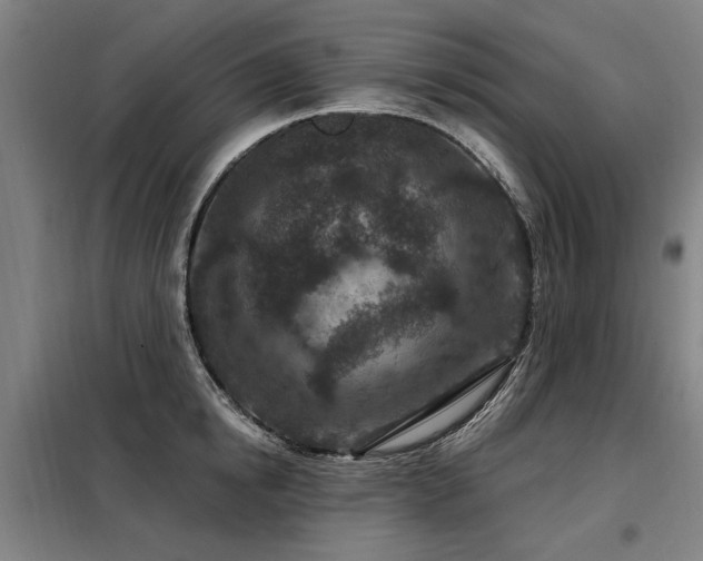 X0000098070854200804041123