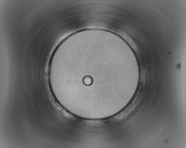 X0000098070856200804041123