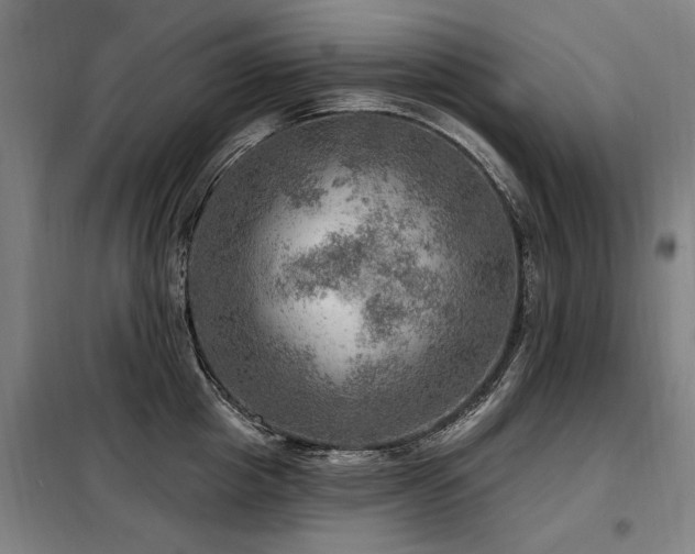 X0000098070857200804041123