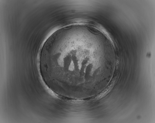 X0000098070859200804041123