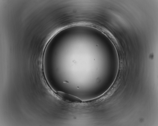 X0000098070860200804041123