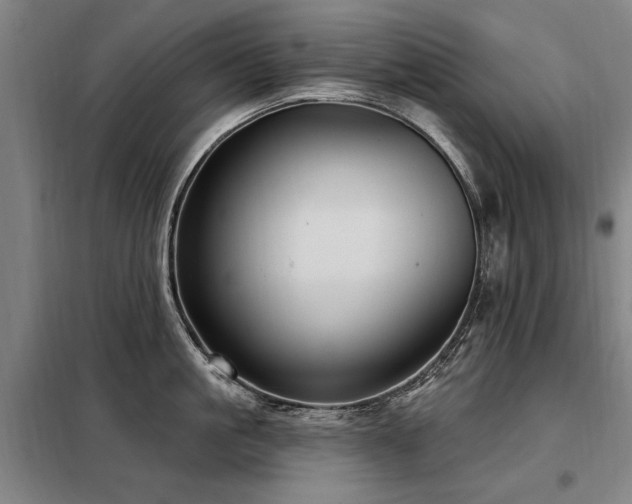 X0000098070861200804041123