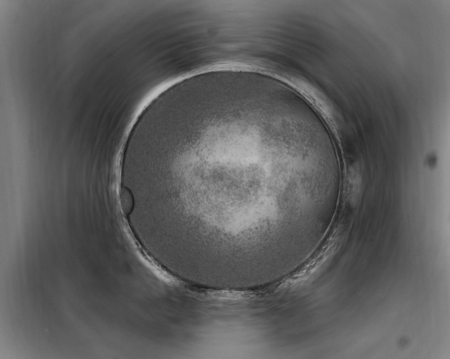 X0000098070862200804041123