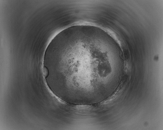 X0000098070863200804041123