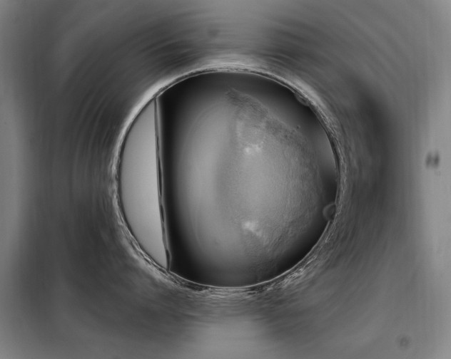 X0000098070864200804041123