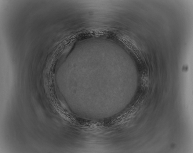 X0000098070865200804041123