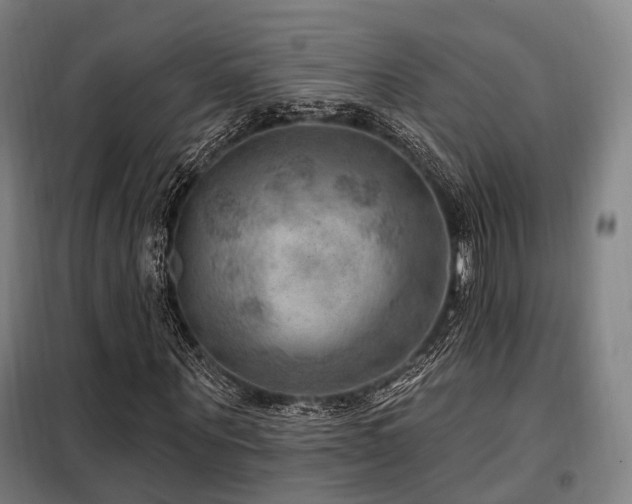 X0000098070867200804041123