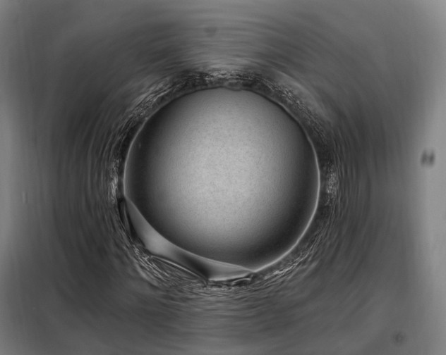 X0000098070868200804041123