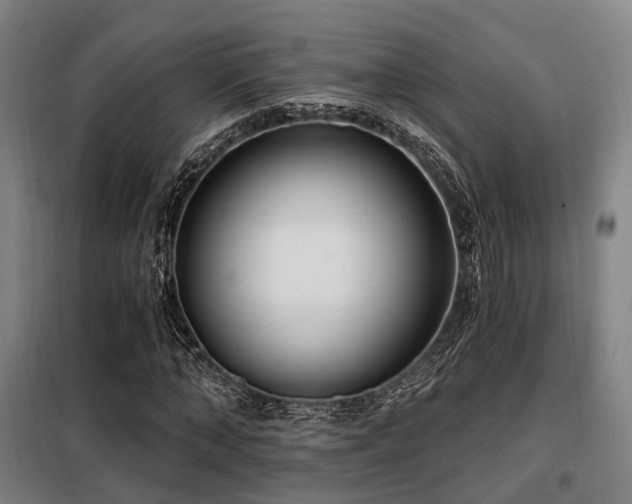 X0000098070870200804041123