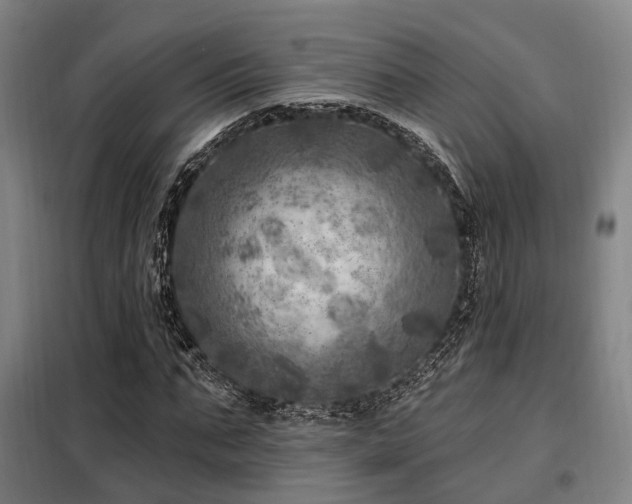 X0000098070871200804041123