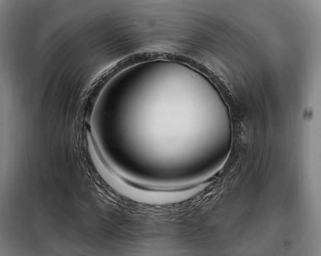 X0000098070872200804041123