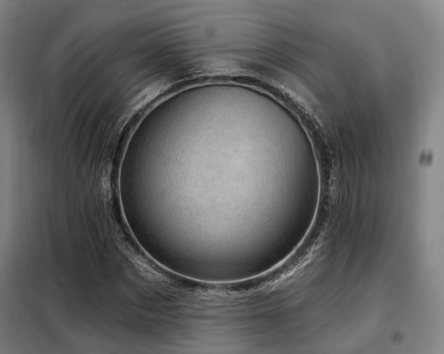 X0000098070873200804041123