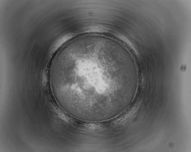 X0000098070874200804041122