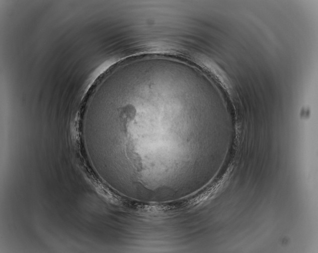 X0000098070875200804041122