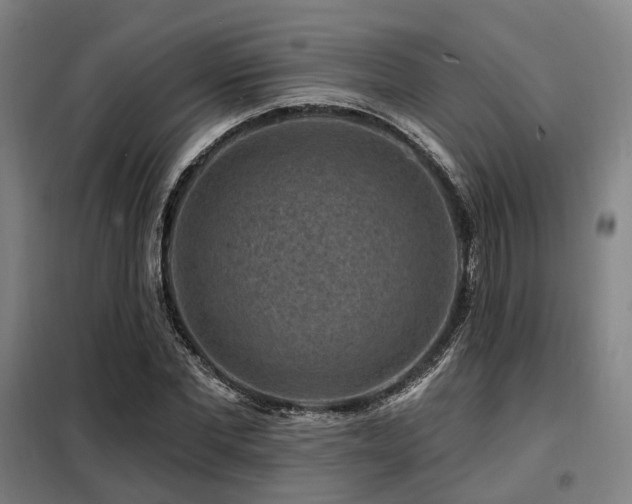 X0000098070877200804041122