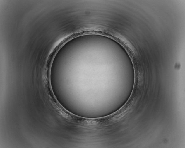 X0000098070878200804041122