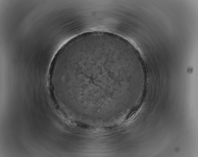 X0000098070879200804041122