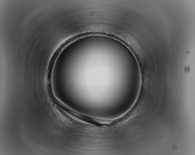 X0000098070880200804041122