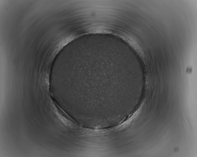 X0000098070881200804041122