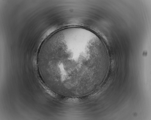 X0000098070882200804041122