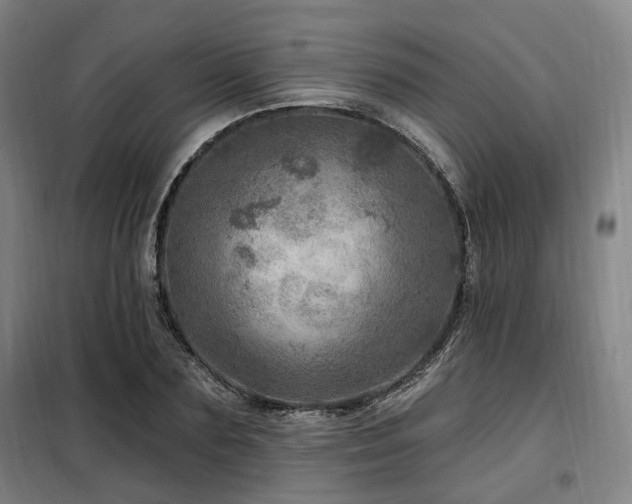 X0000098070883200804041122