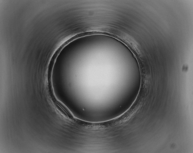 X0000098070884200804041122