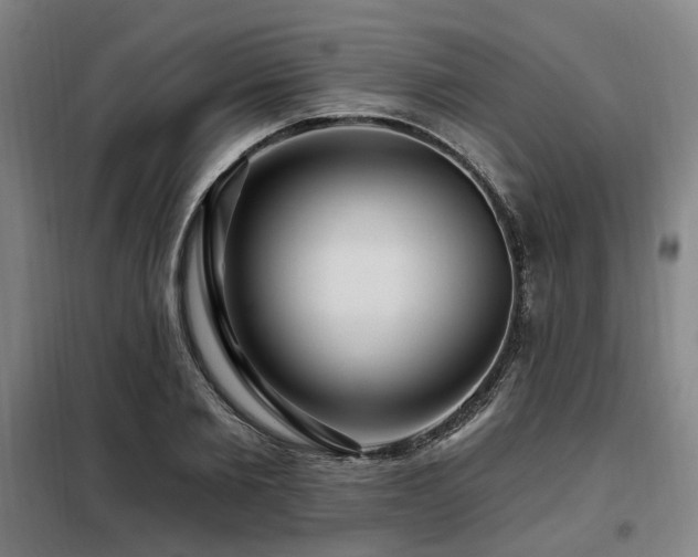 X0000098070885200804041122