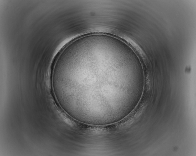 X0000098070886200804041122