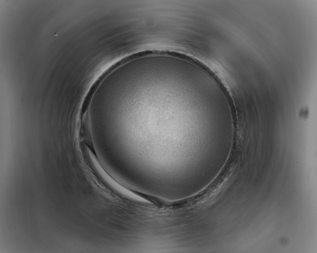 X0000098070887200804041122