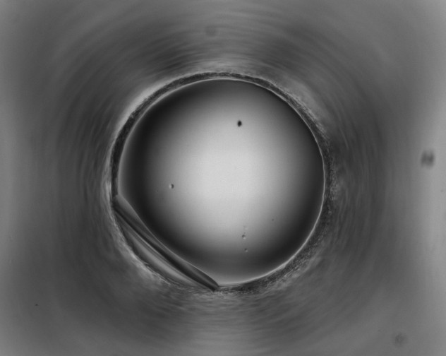 X0000098070888200804041122