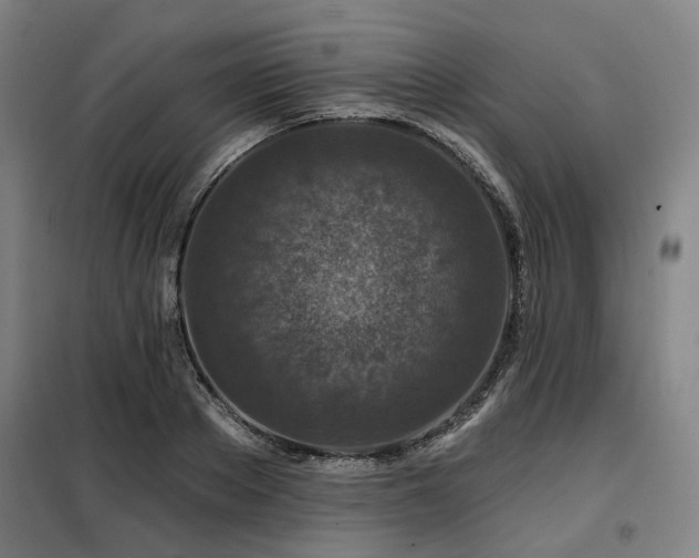 X0000098070889200804041122