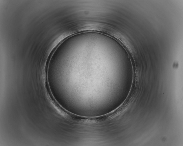 X0000098070890200804041122