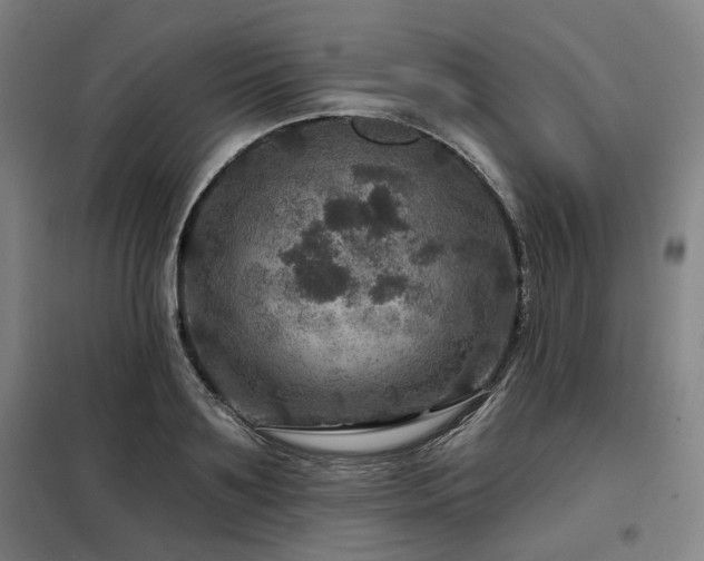 X0000098070891200804041122