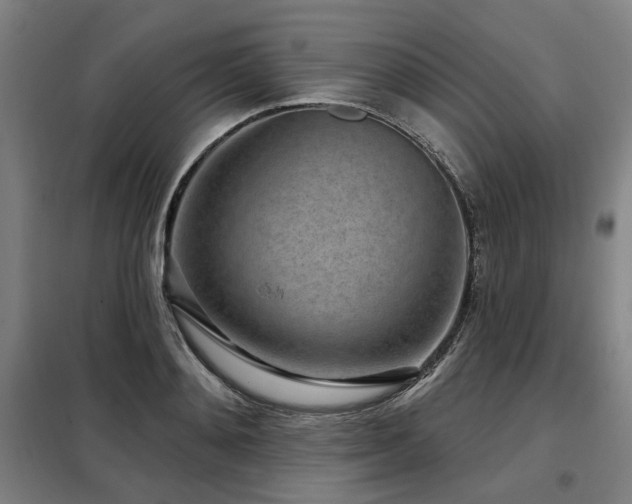 X0000098070892200804041122