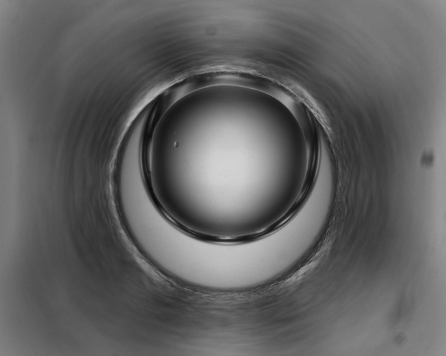 X0000098070893200804041122