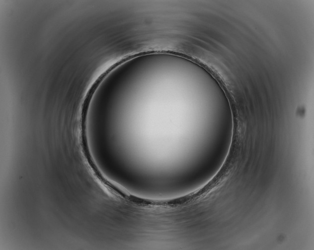 X0000098070894200804041122