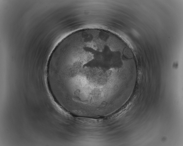 X0000098070895200804041122