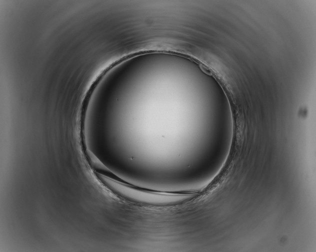 X0000098070896200804041122