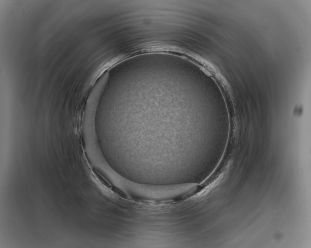 X0000098070897200804041122