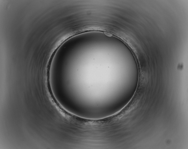 X0000098070898200804041122