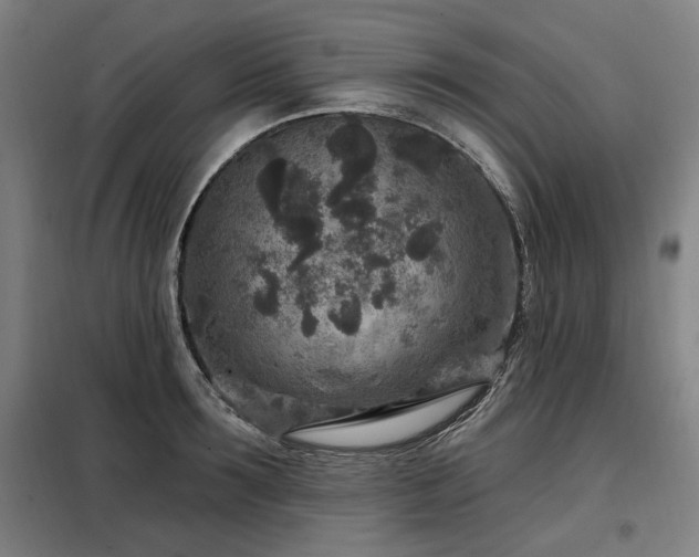 X0000098070899200804041122