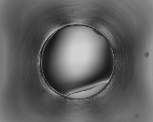 X0000098070900200804041122