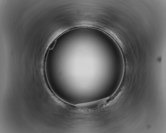 X0000098070901200804041122