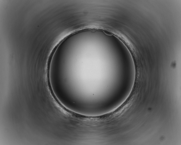 X0000098070902200804041122