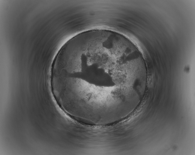 X0000098070903200804041122