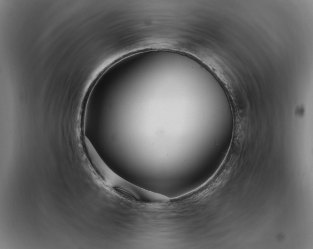 X0000098070904200804041122