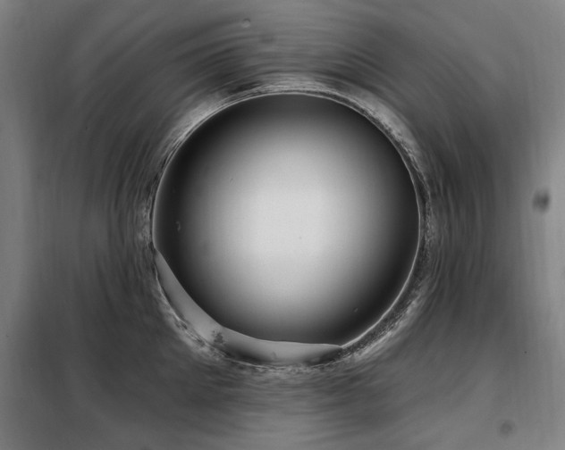 X0000098070905200804041122