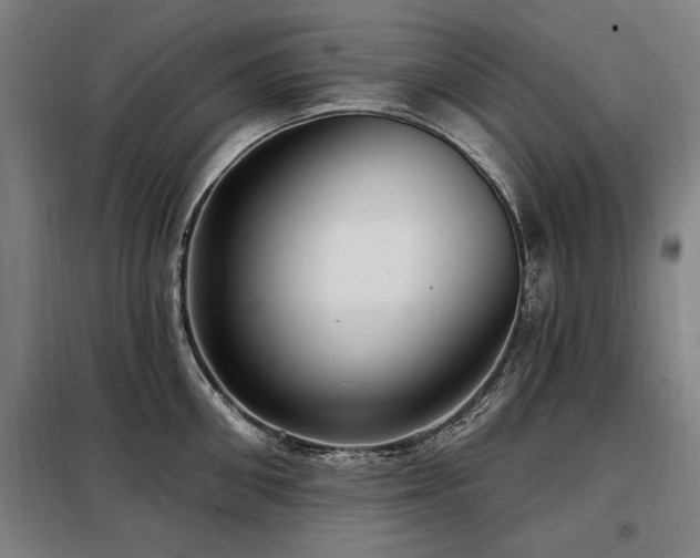 X0000098070906200804041122