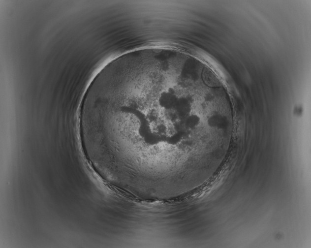 X0000098070907200804041122