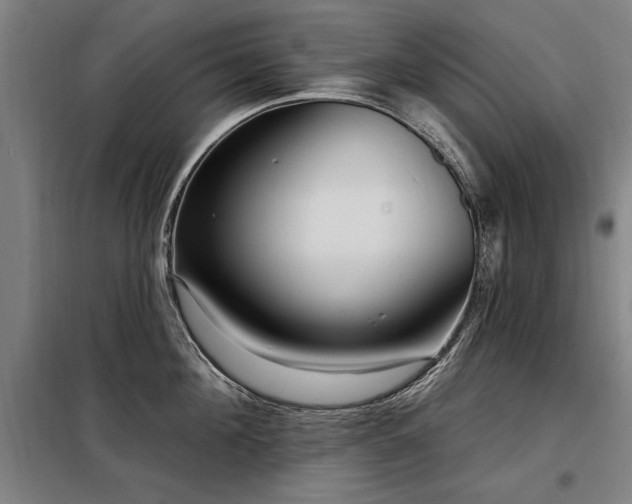 X0000098070908200804041122